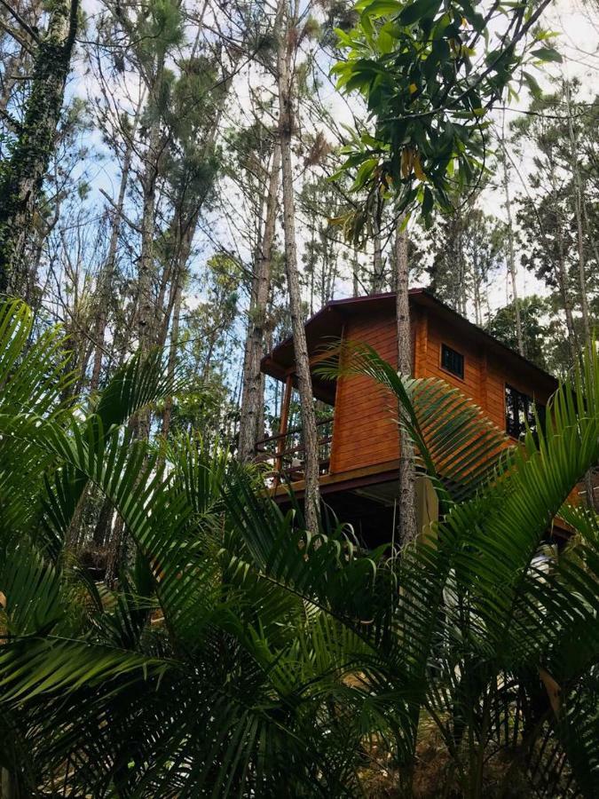 Casa De Arbol, Rancho Tierra Alta Hotel Jarabacoa Exterior photo